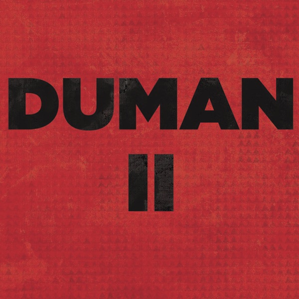 Senden Daha Güzel · Duman II artwork